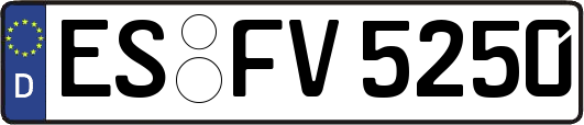 ES-FV5250