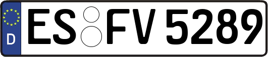 ES-FV5289