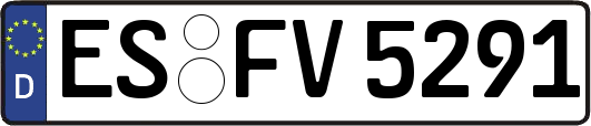 ES-FV5291