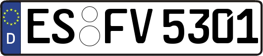 ES-FV5301