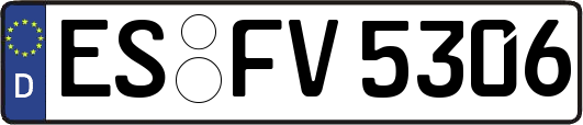 ES-FV5306