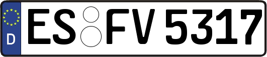 ES-FV5317