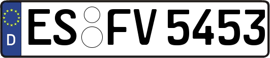 ES-FV5453