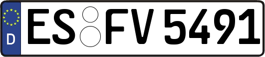 ES-FV5491