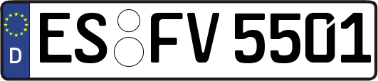 ES-FV5501