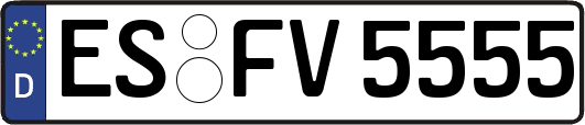 ES-FV5555