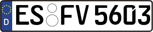 ES-FV5603