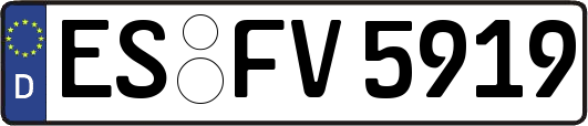 ES-FV5919