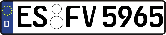 ES-FV5965