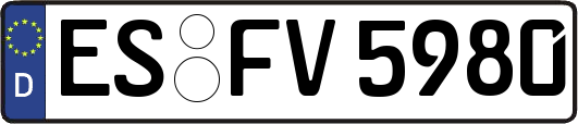 ES-FV5980