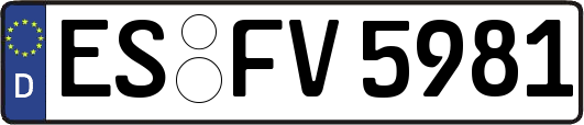 ES-FV5981