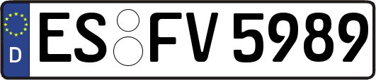 ES-FV5989