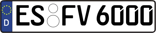 ES-FV6000