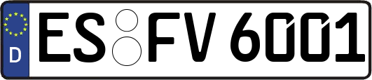 ES-FV6001