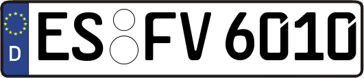 ES-FV6010