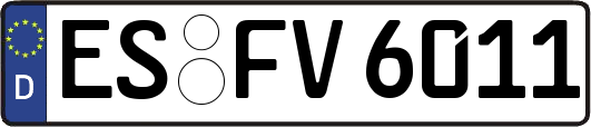 ES-FV6011