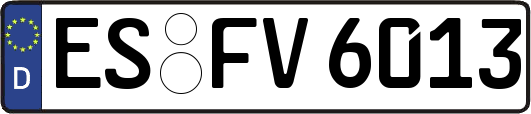 ES-FV6013