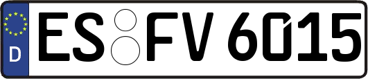 ES-FV6015