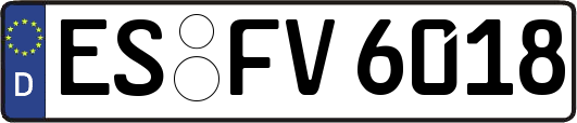ES-FV6018