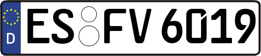 ES-FV6019