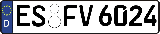 ES-FV6024