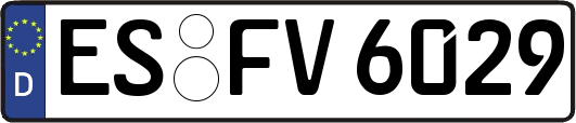 ES-FV6029