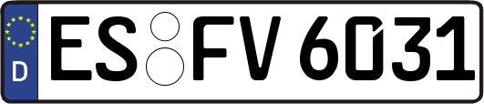 ES-FV6031