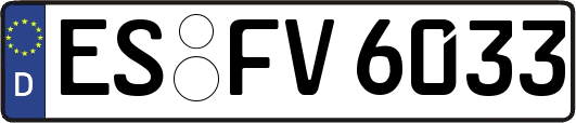 ES-FV6033