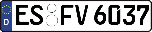 ES-FV6037