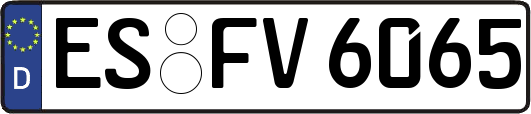 ES-FV6065