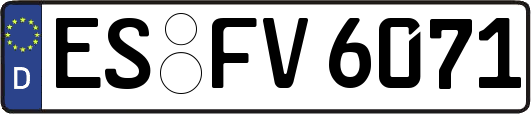 ES-FV6071