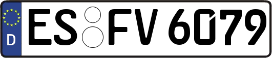 ES-FV6079