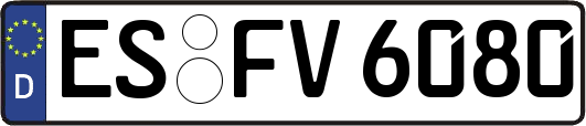 ES-FV6080