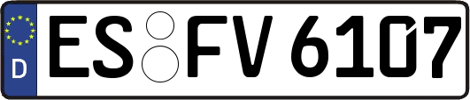 ES-FV6107