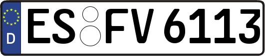 ES-FV6113