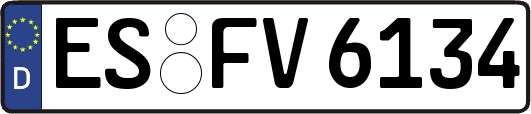 ES-FV6134