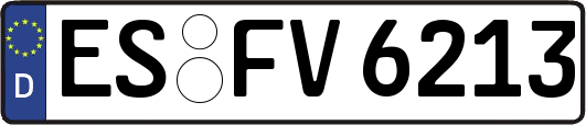ES-FV6213