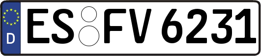 ES-FV6231
