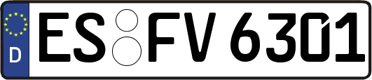 ES-FV6301
