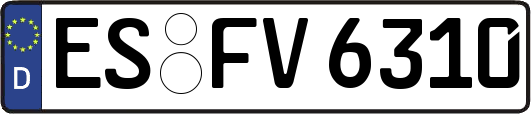 ES-FV6310