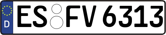 ES-FV6313