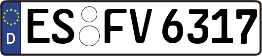 ES-FV6317