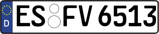 ES-FV6513