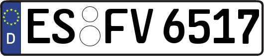 ES-FV6517