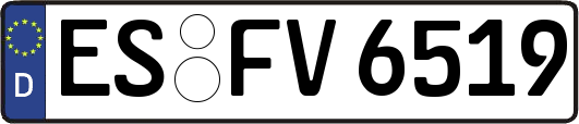 ES-FV6519