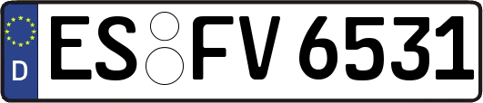 ES-FV6531