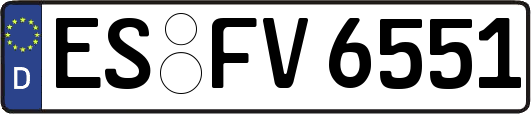 ES-FV6551