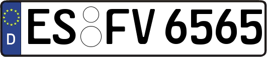 ES-FV6565