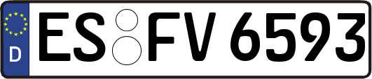 ES-FV6593