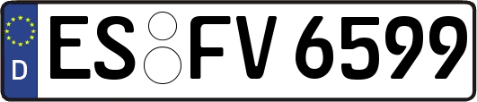 ES-FV6599